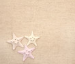 Foto: Starfishes on canvas texture Starfishes on canvas texture