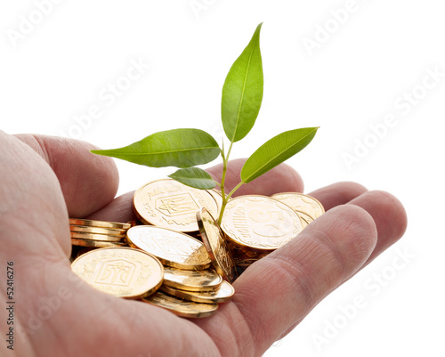Photo: Young sprout from a pile of coins. Young sprout from a pile of coins.