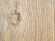 old wood