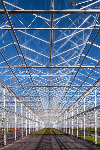 Photo: Partly empty greenhouse against a blue sky Partly empty greenhouse against a blue sky