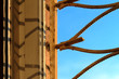 Foto: Blue blue sky Blue blue sky