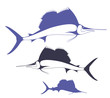 Marlin