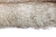 fur