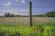 hay bales