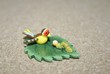 Der frühe Vogel fängt den Wurm