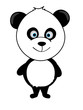 panda