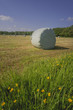 hay bales