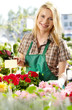 Female florist or gardener in flower shop or nursery