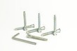 Hallen screws and key