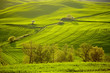 Foto: Countryside, San Quirico d`Orcia , Tuscany, Italy Countryside, San Quirico d`Orcia , Tuscany, Italy