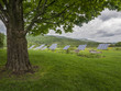 Solar panels on green suburban landscape