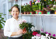  woman chooses Cyclamen