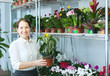 woman in flower shop with  Aphelandra