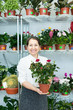 Happy  woman chooses roses in pot