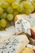Various types of cheese composition