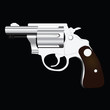 Revolver