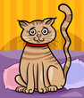 female_cat_back