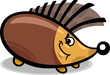 hedgehog cartoon illustration