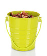 Bucket with nuts isolated on white