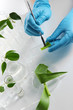Foto: Test tubes with plant on light background Test tubes with plant on light background