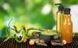 Still life with green bamboo plant and stones,