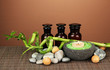 Still life with green bamboo plant and stones,