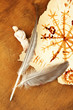 Old paper with symbols, on wooden background