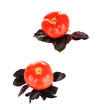 Fresh tomatoes and basil leaves isolated on white