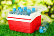 Picnic refrigerator with bottles of water and ice cubes on