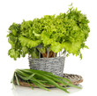 Useful herbs isolated on white