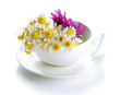 Beautiful Wild Flowers In .cup...