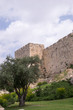 The wall of old Jerusalem
