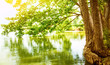 Foto: River landscape River landscape