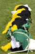 Uniform Spielmannszug