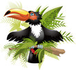 Vector: tucan tucan