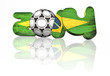 2014 brazil