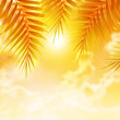 Palm leaves on sunset background