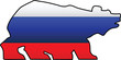 Russian Flag and Symbol Combination