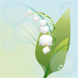 Vektor: Spring flower lily of the valley Spring flower lily of the valley