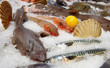 At the fish market