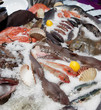 Wide selection of fish on market display