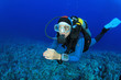 Female Scuba Diver underwater