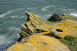 Foto: Küste der Ile Groix, Bretagne Küste der Ile Groix, Bretagne