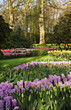 Photo: Colorful springflowers in park Colorful springflowers in park