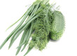 Green dill and cucumbers