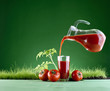 fresh tomato juice on a background of grass