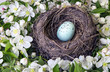 Robin bird nest with blue egg and flowers