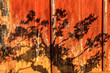 Shadow of a plant on a door