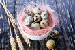 Quail eggs