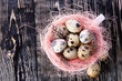 Quail eggs